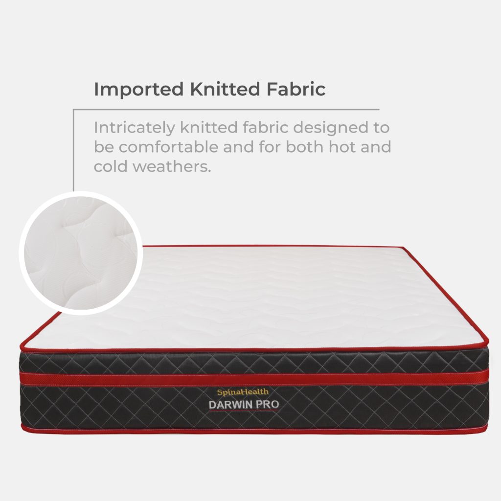 Goodnite Darwin Pro 5′ Queen Mattress WAVPAY
