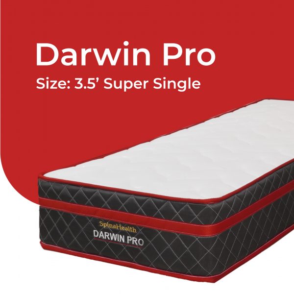 Goodnite Darwin Pro 3.5′ Super Single Mattress