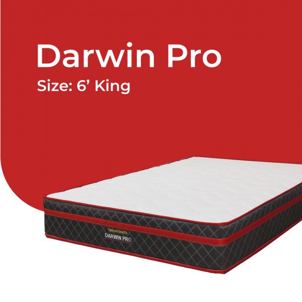 Goodnite Darwin Pro 6′ King Mattress